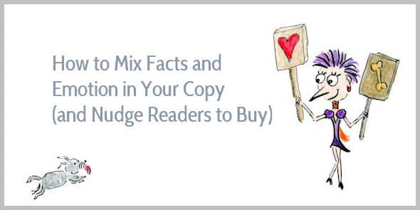 How to Mix Facts and Emotion in Your Sales Copy